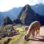 マチュピチュは、世界で最も素晴らしい緑の観光地。ワールド・トラベル・アワード２０１２大賞