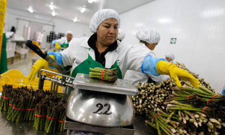 ペルーの非伝統産品の輸出増加は、国内の雇用を促進しているとの見かた