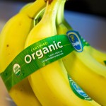 ペルー産有機栽培バナナ、2014年はアジアマーケットを拡大