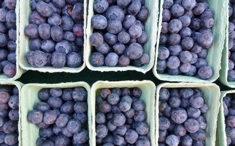 Blueberries in boxes at the greengrocer