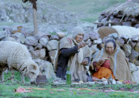 アンデスの老夫婦が伝える生とは？ペルー映画「アンデス、ふたりぼっち」7月に公開